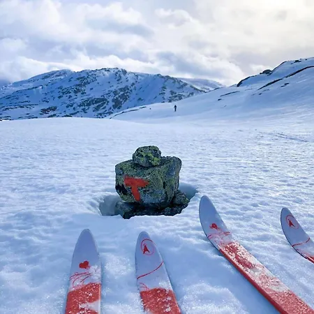With A View At Bavallen Trastolen Voss