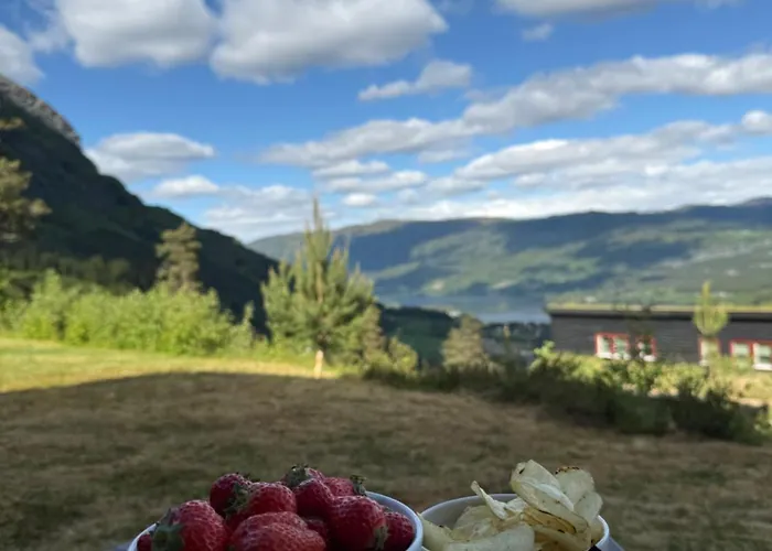 With A View At Bavallen Trastolen